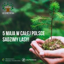 Drzewa łączą Polaków