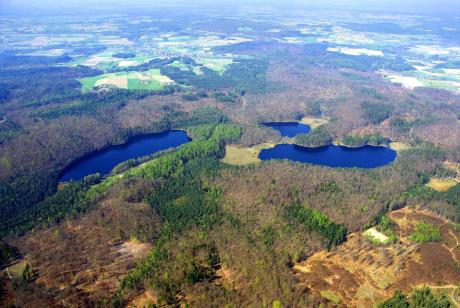 Obszary Natura 2000 położone na terenie Nadleśnictwa Gdańsk