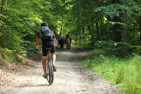 Regulamin organizowania wydarzeń sportowych i rekreacyjnych