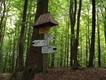 Regulamin korzystania z obiektu turystycznego i zagrożenia występujące w lesie