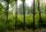 Lasy Trójmiejskie - Od pokoleń w dobrych rękach