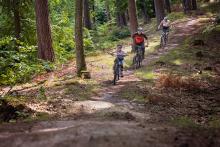 Ankieta dotycząca ścieżek przeznaczonych do kolarstwa górskiego w Lasach Trójmiejskich.