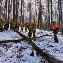 Ćwiczenia leśników i strażaków