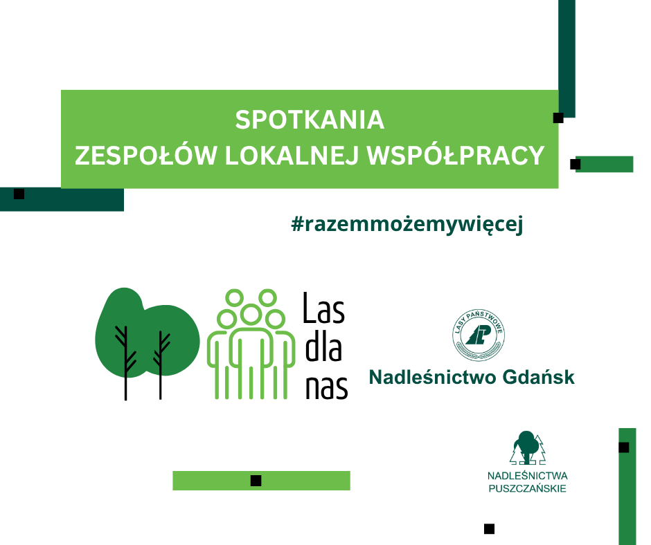 Spotkania Zespołów Lokalnej Współpracy - czerwiec 2025 r.