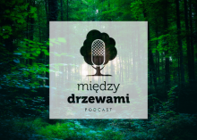 Między drzewami. Podcast