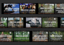 Oblicza Lasów