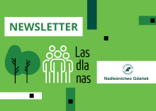 Newsletter projektu "Las dla Nas"