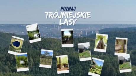 Poznaj trójmiejskie lasy