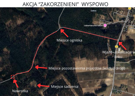 Wiosenne otwarte sadzenia drzew